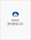 슈퍼 포지셔닝의 전략가들 : 초파격의 차별화를 만드는 래디컬 컨셉의 법칙